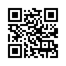 QR CODE 993