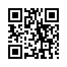 QR CODE 31