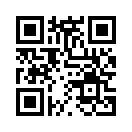 QR CODE 2461