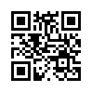 QR CODE 2541