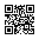 QR CODE 2891