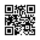 QR CODE 2911