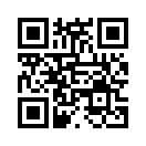 QR CODE 3133