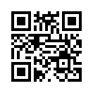 QR CODE 3558