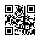 QR CODE 3838
