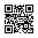 QR CODE 3866