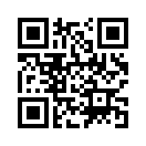 QR CODE 110