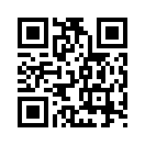 QR CODE 42