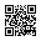 QR CODE 53