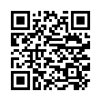 QR CODE 31