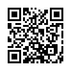 QR CODE 36