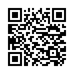 QR CODE 38