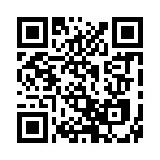 QR CODE 45
