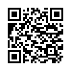 QR CODE 53