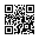 QR CODE 110
