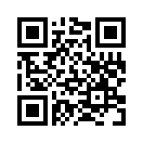 QR CODE 116