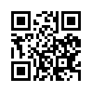 QR CODE 133
