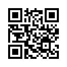 QR CODE 19