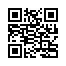 QR CODE 133