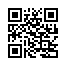 QR CODE 21