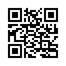 QR CODE 213