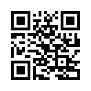 QR CODE 28
