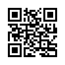 QR CODE 293