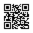 QR CODE 295