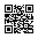 QR CODE 297