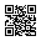 QR CODE 299
