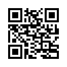 QR CODE 301