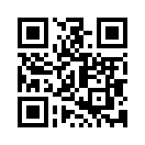 QR CODE 42