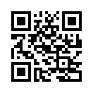 QR CODE 46