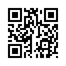 QR CODE 133