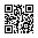 QR CODE 316