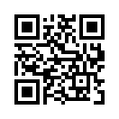 QR CODE 317