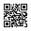 QR CODE 329