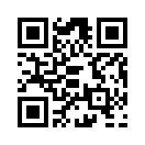 QR CODE 344