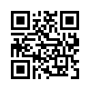 QR CODE 461