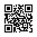 QR CODE 528