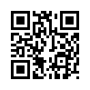 QR CODE 529