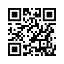 QR CODE 1271