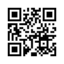 QR CODE 1381