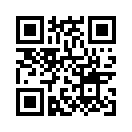 QR CODE 447
