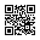 QR CODE 494