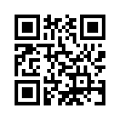 QR CODE 110
