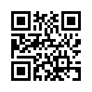 QR CODE 113