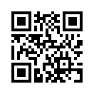 QR CODE 132
