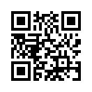 QR CODE 133