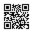 QR CODE 133